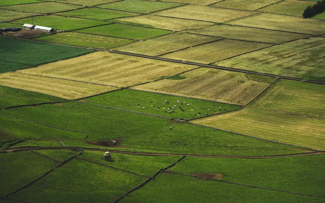 El equilibrio entre agricultura y ganadería